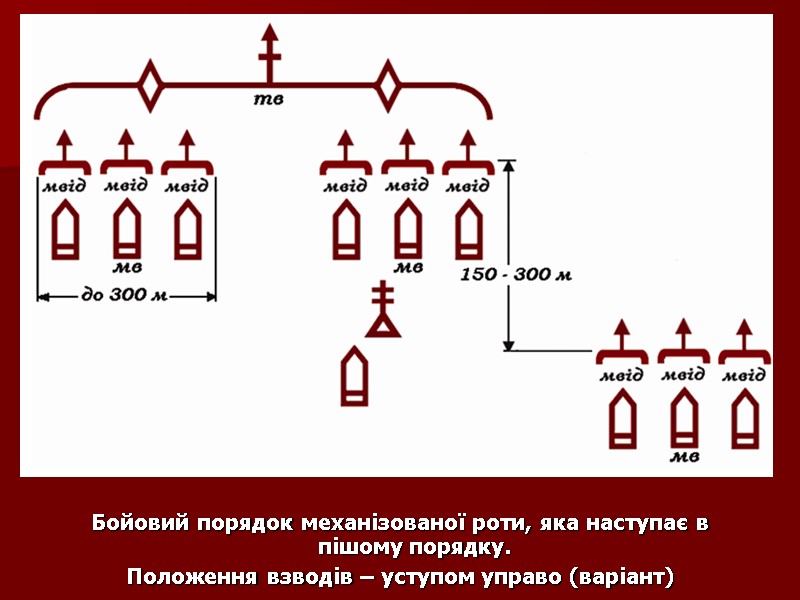 Бойовий порядок механізованої роти, яка наступає в пішому порядку.  Положення взводів – уступом